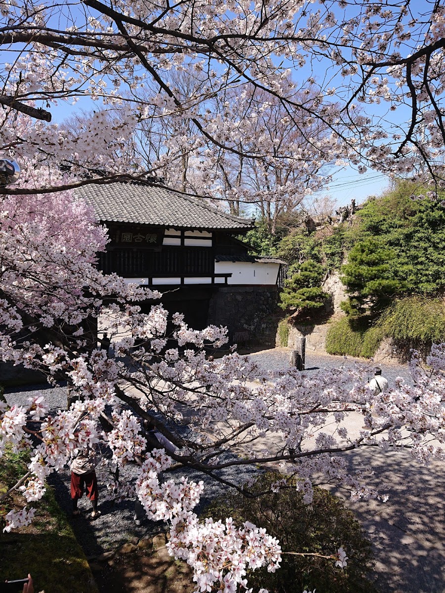小諸城址 懐古園の写真