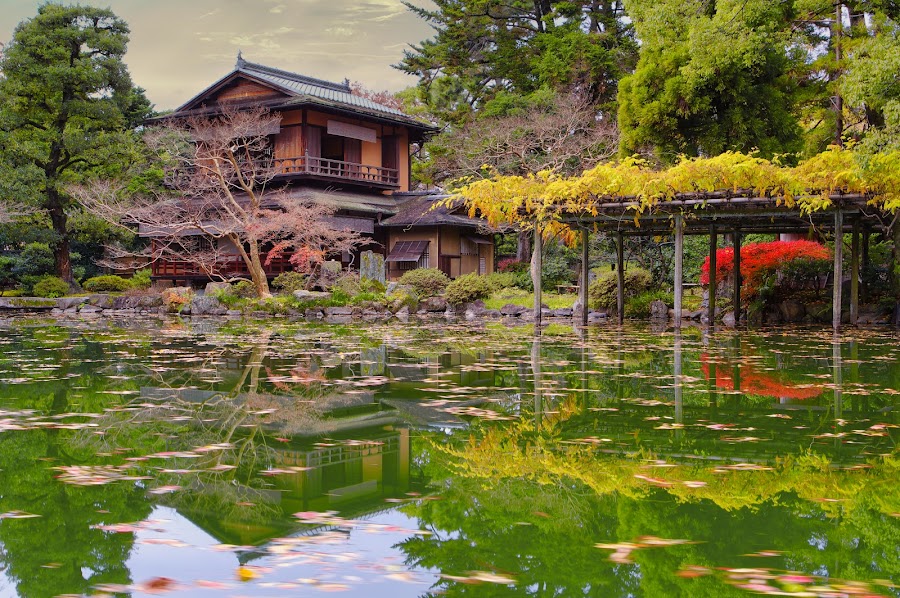 京都御苑のさんぽ