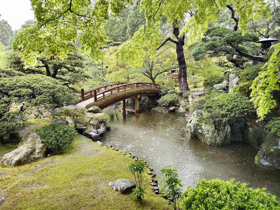 京都御苑の写真