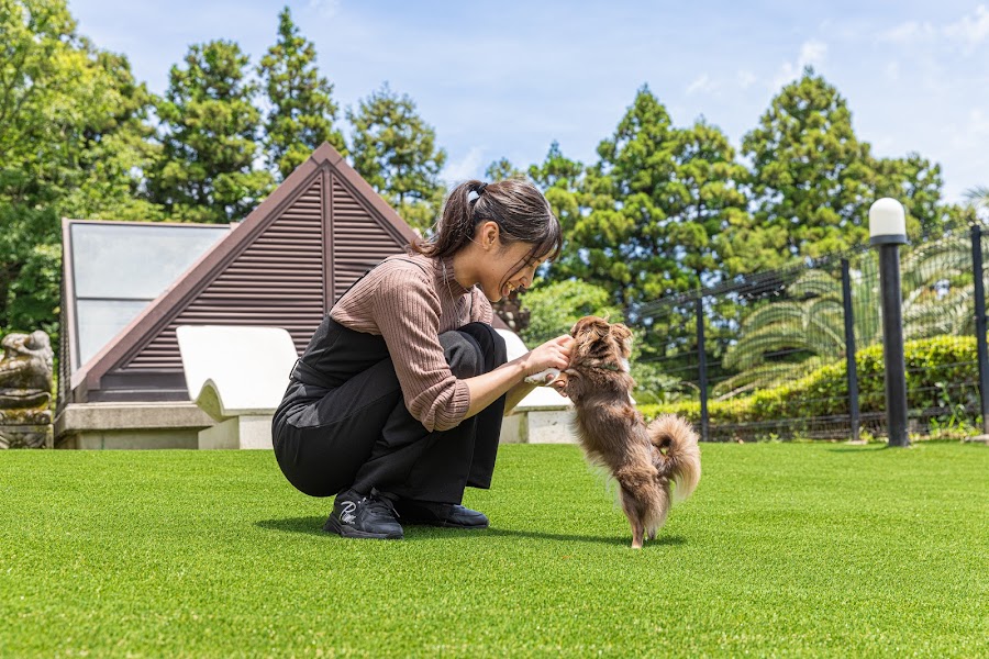 Love Dog Resorts 愛犬お宿 伊豆高原の写真