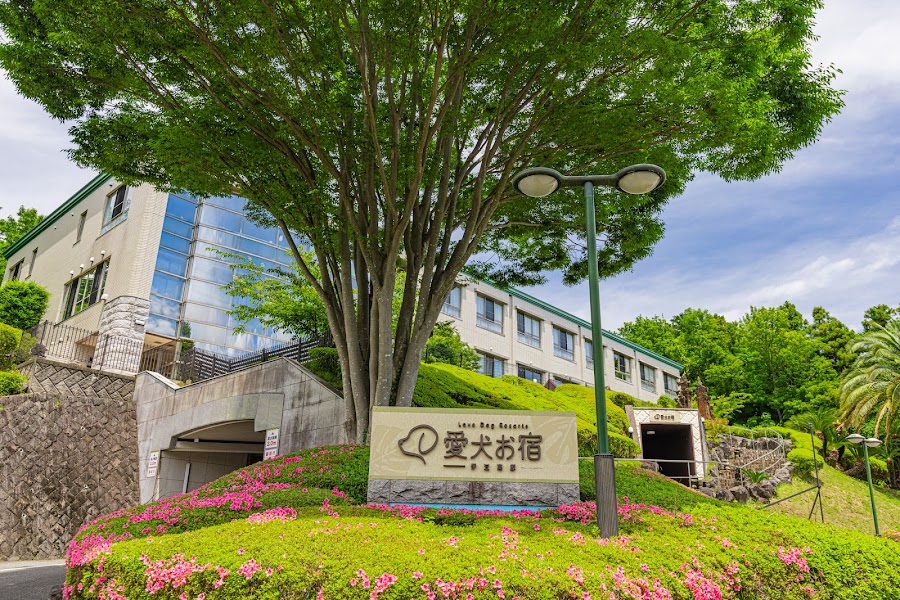 Love Dog Resorts 愛犬お宿 伊豆高原の写真