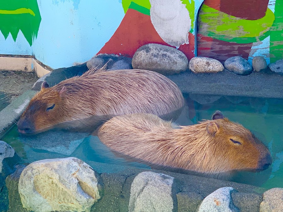 万力公園(万葉の森)の写真