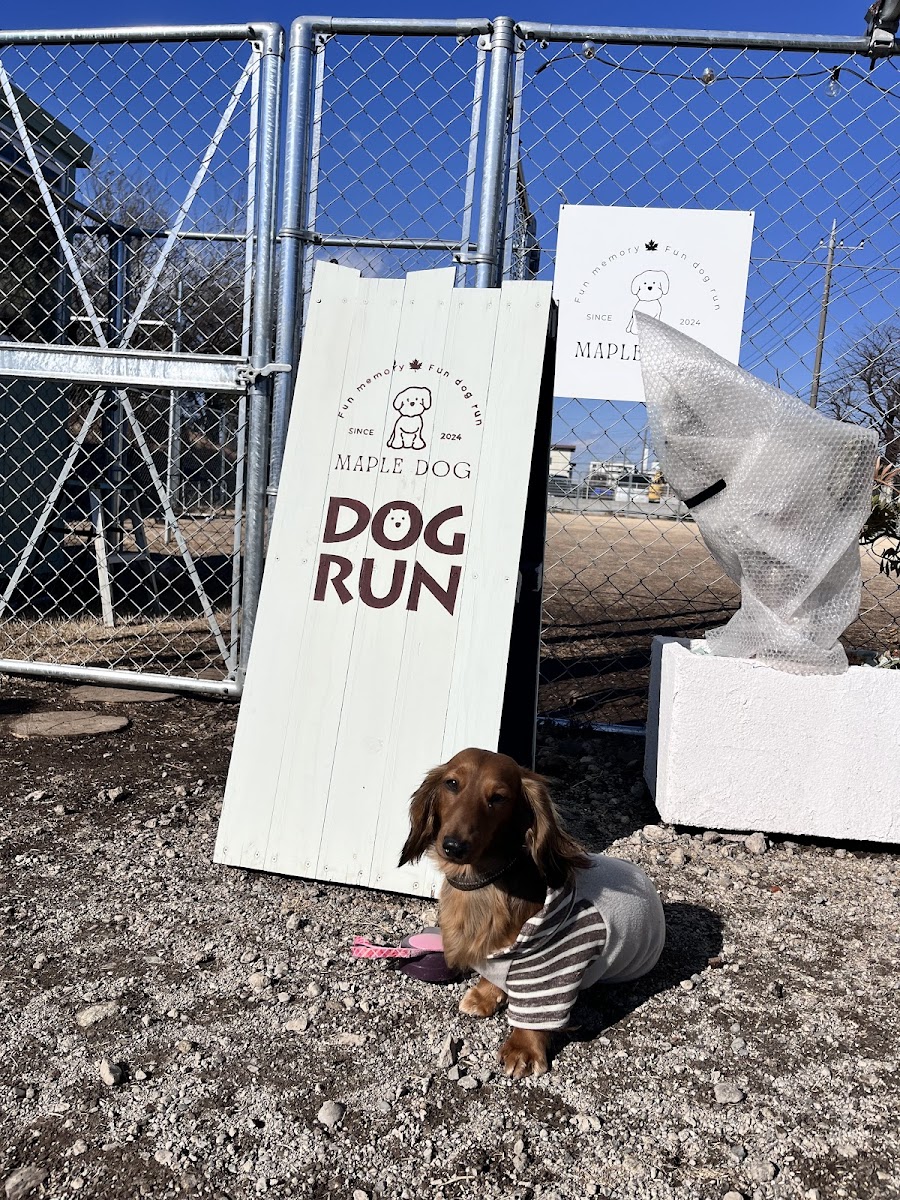 MAPLE DOG ドッグランの写真