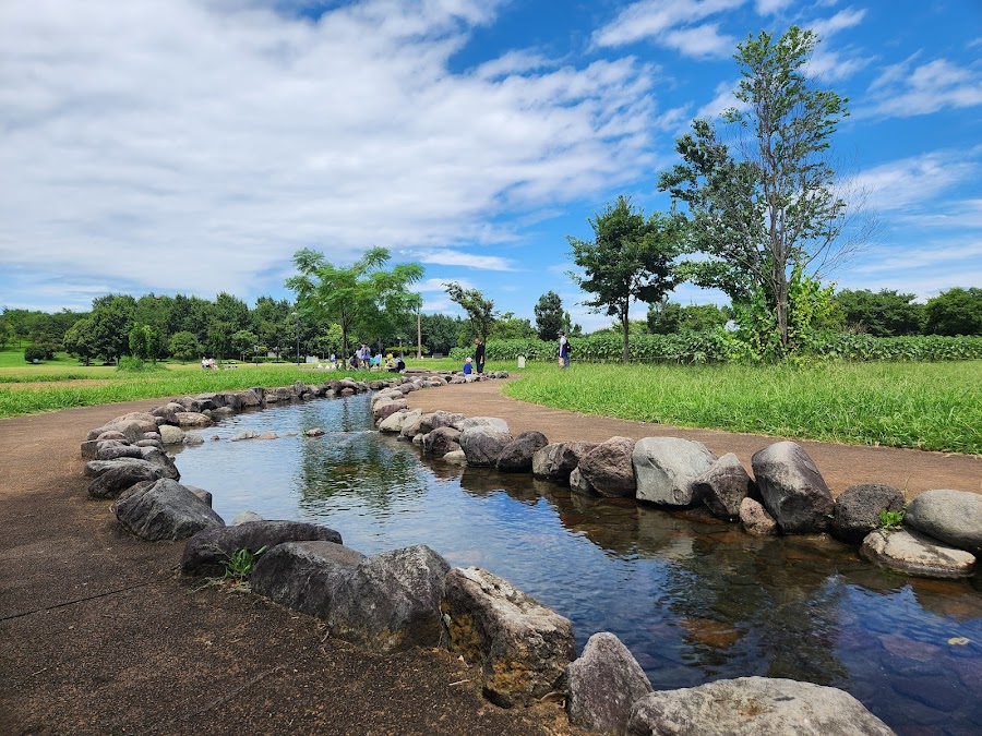 まつぶし緑の丘公園（まつぶし緑の丘マルシンパーク）の写真