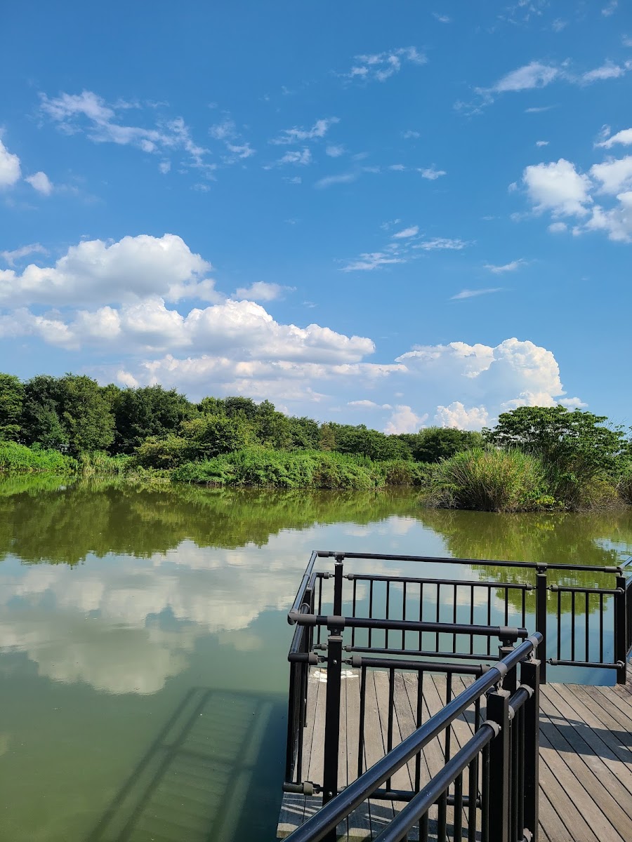 まつぶし緑の丘公園（まつぶし緑の丘マルシンパーク）の写真