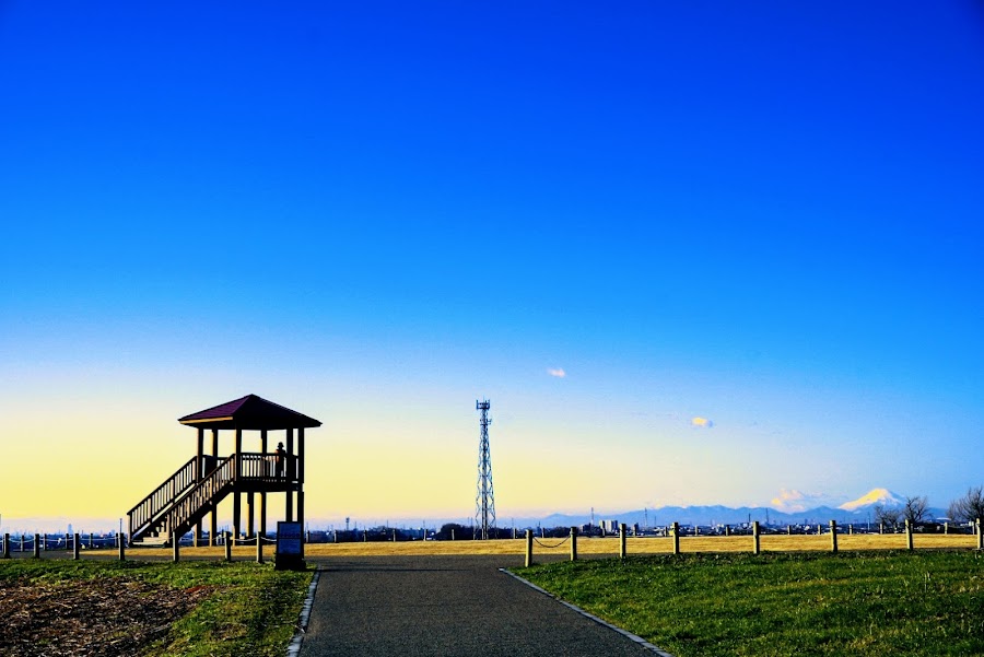 まつぶし緑の丘公園（まつぶし緑の丘マルシンパーク）の写真