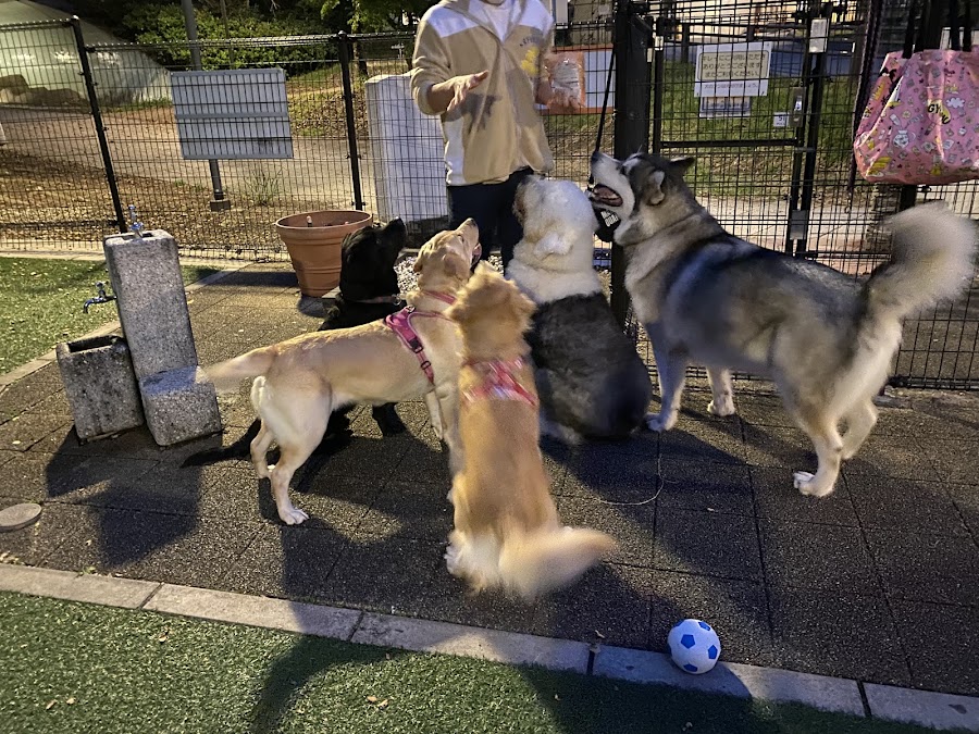 みちまる広場（EXPASA足柄）の写真