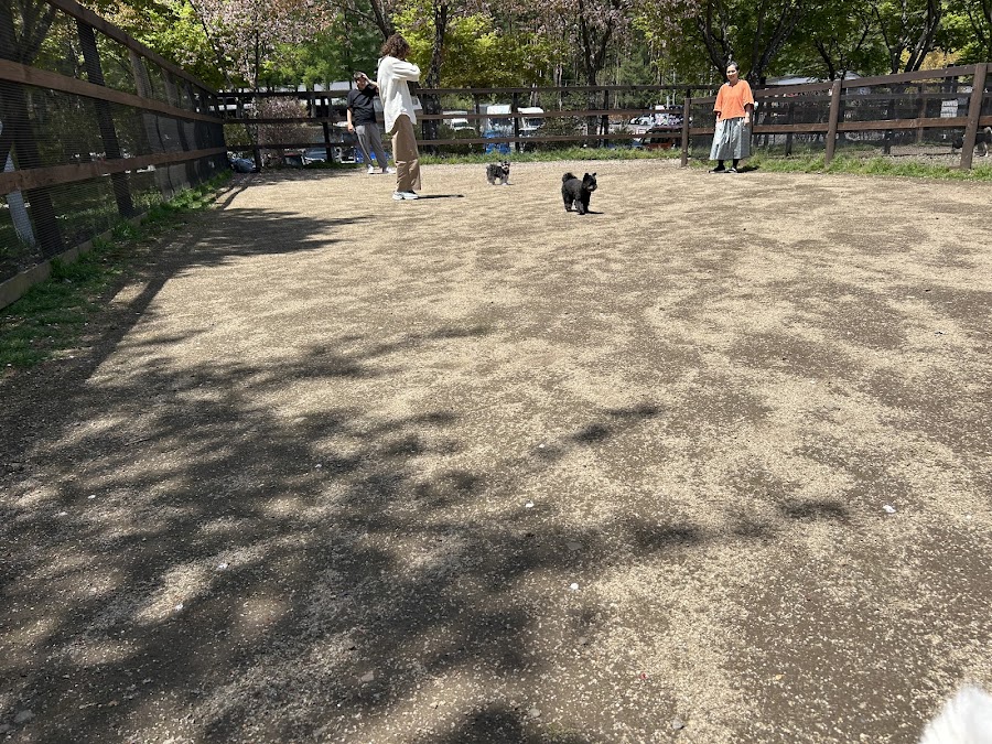 道の駅富士吉田 ドッグランの写真