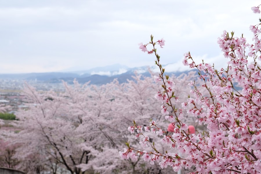 みさか桃源郷公園の写真