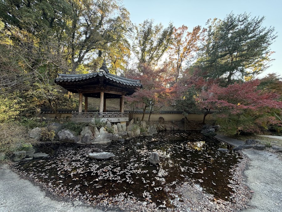 県立三ツ池公園の写真