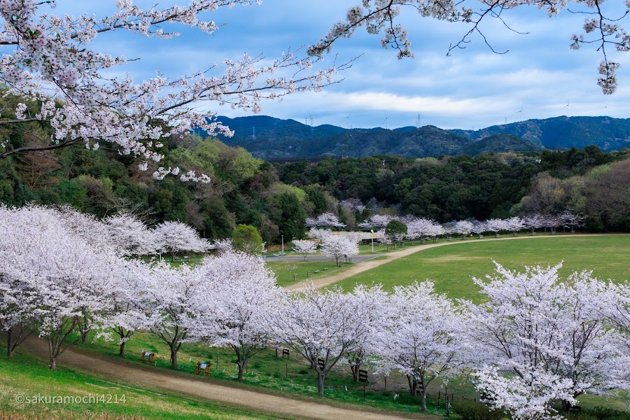 都田総合公園の写真