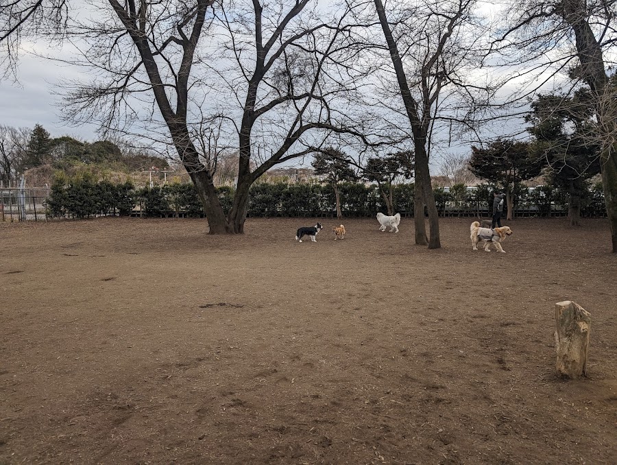 みずほエコパーク ドッグランの写真
