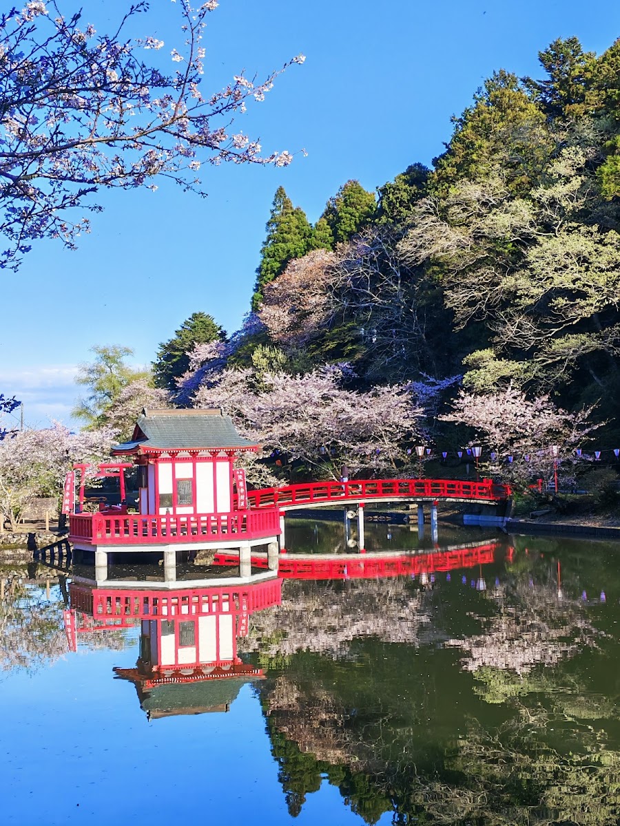 茂原公園の写真