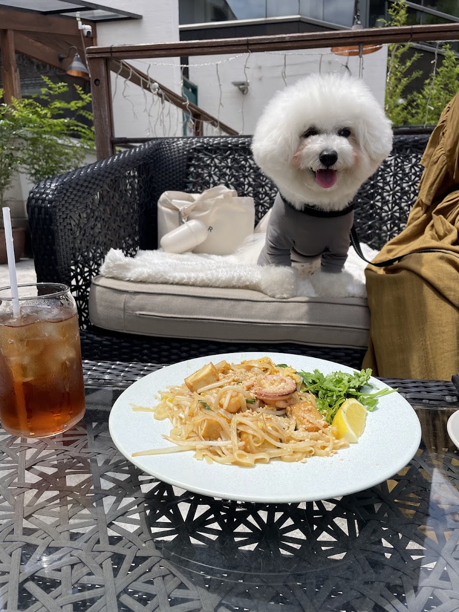 モンスーンカフェ 代官山の写真