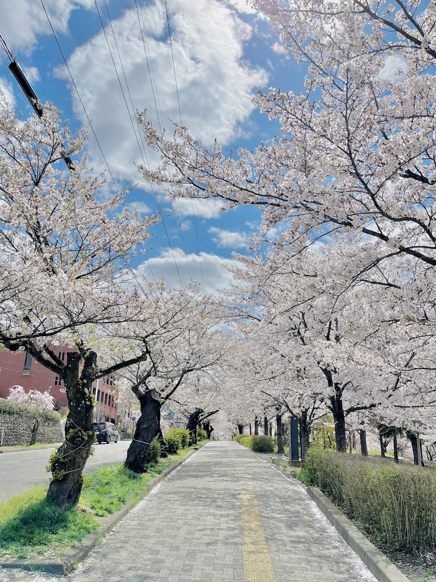 城山公園の写真