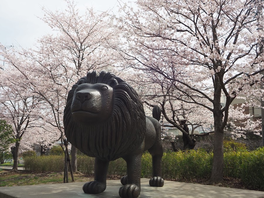 城山公園の写真