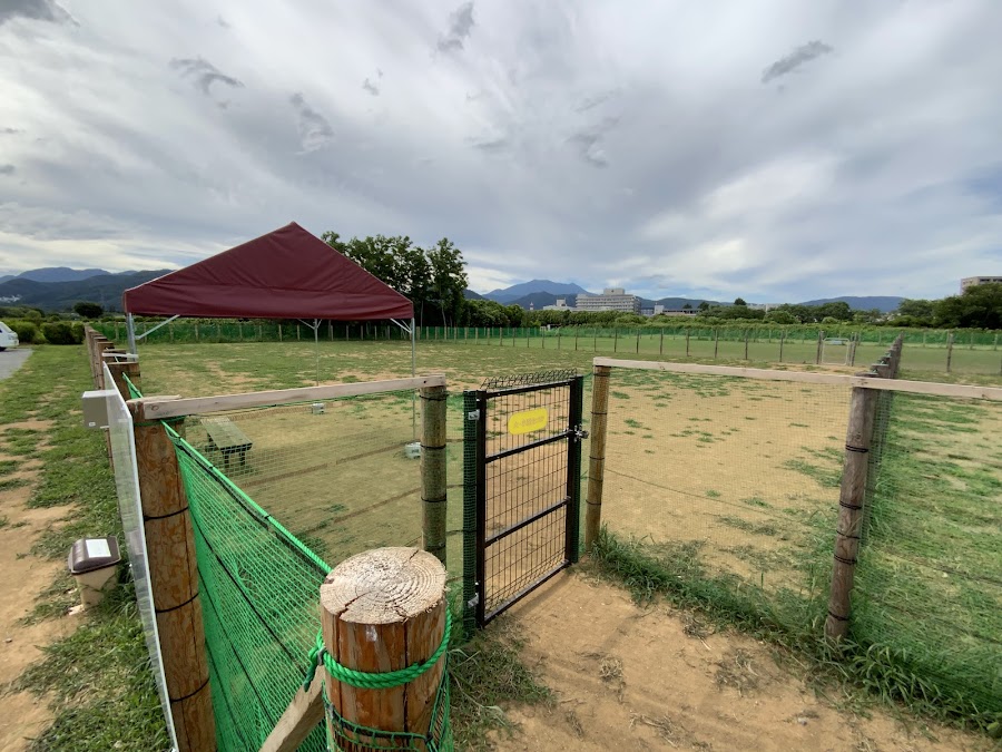 犀川第2緑地ドッグランの写真