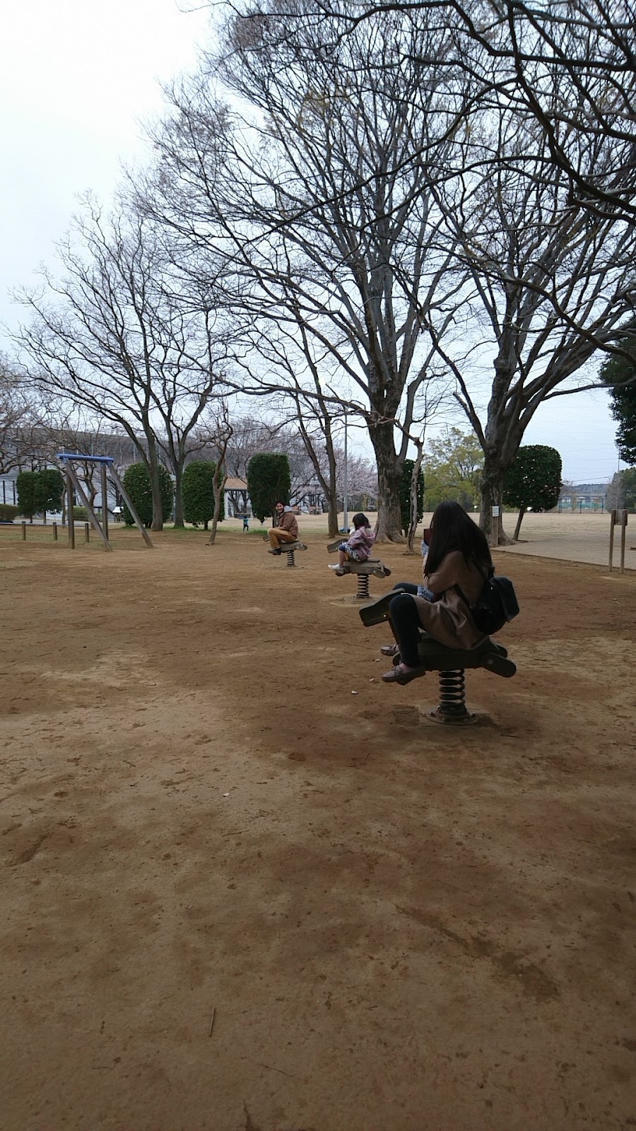 流山セントラルパーク（流山市総合運動公園）の写真