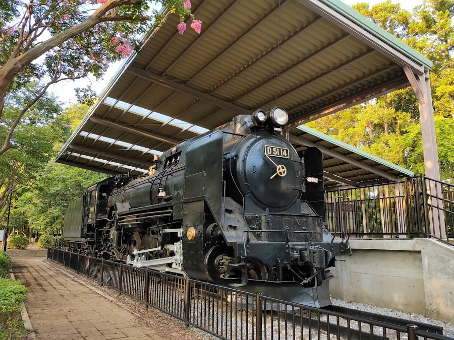 流山セントラルパーク（流山市総合運動公園）の写真