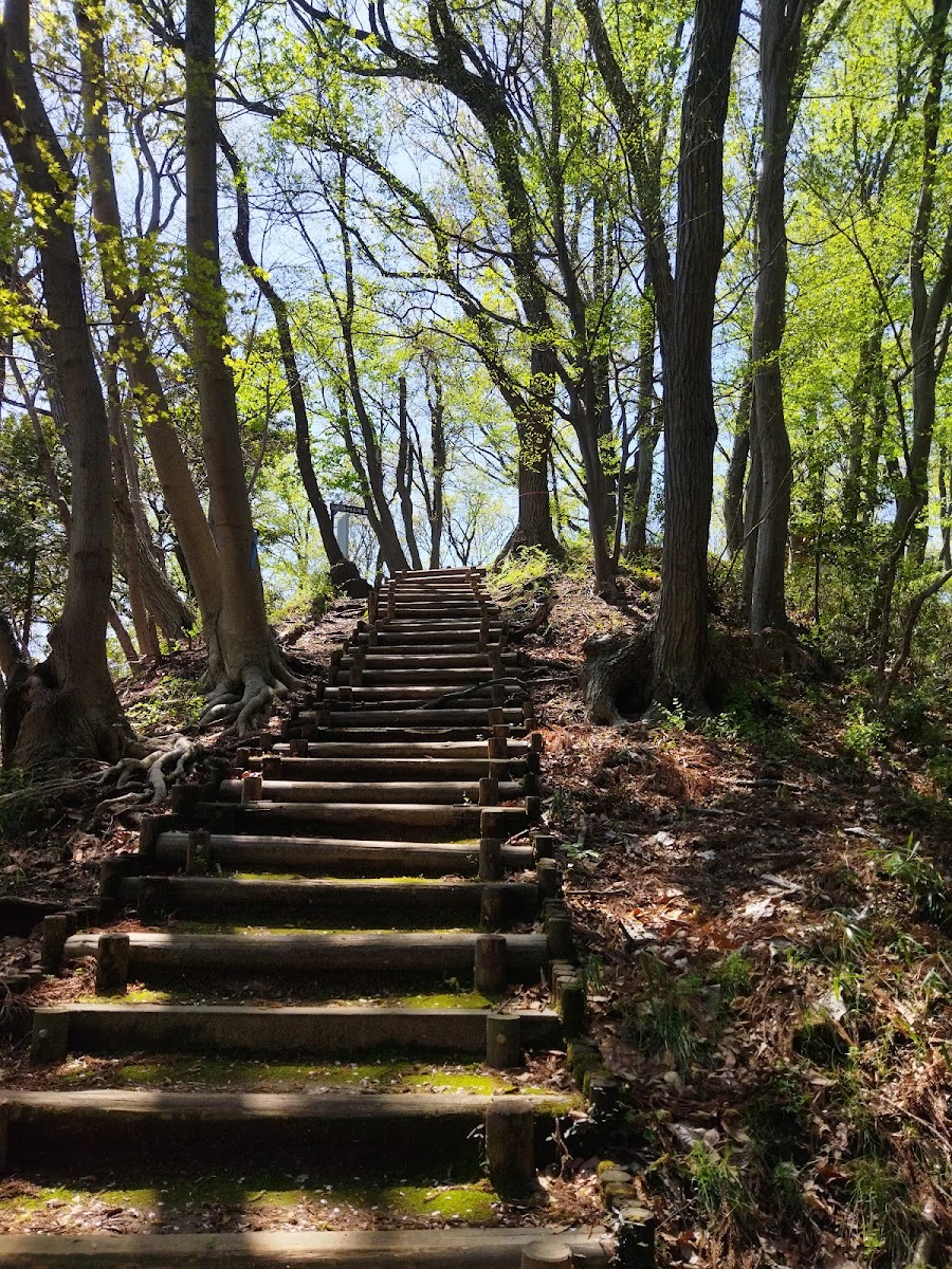 県立七沢森林公園の写真