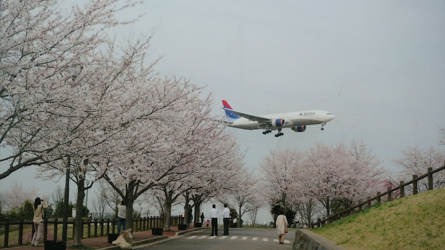 成田市さくらの山の写真