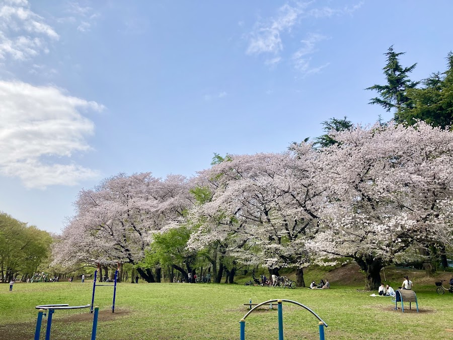 野川公園の写真