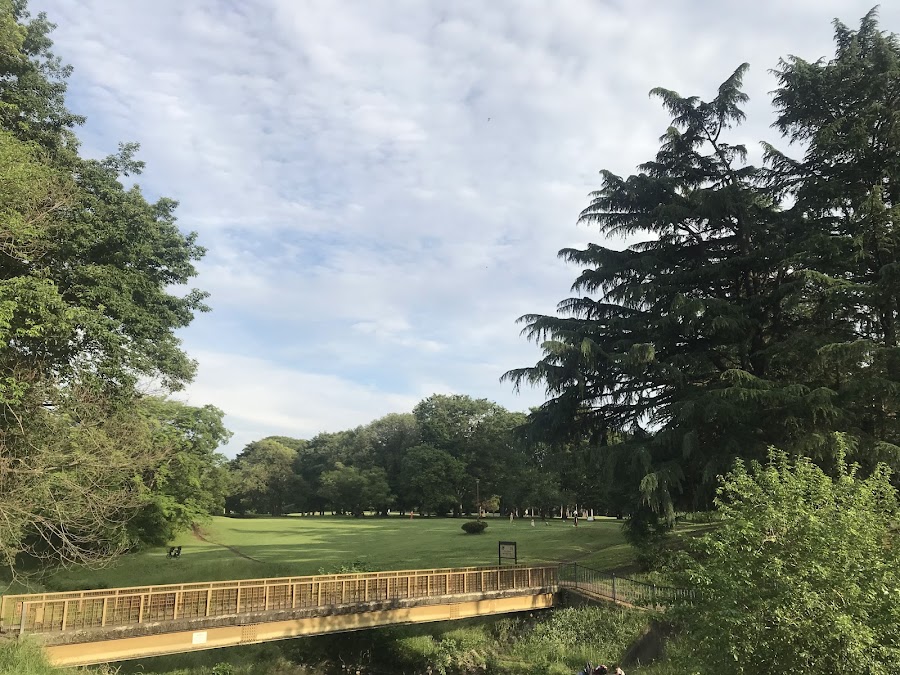 野川公園の写真