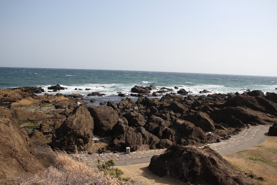 野島崎の写真