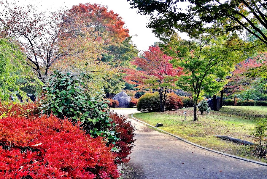 小布施総合公園の写真