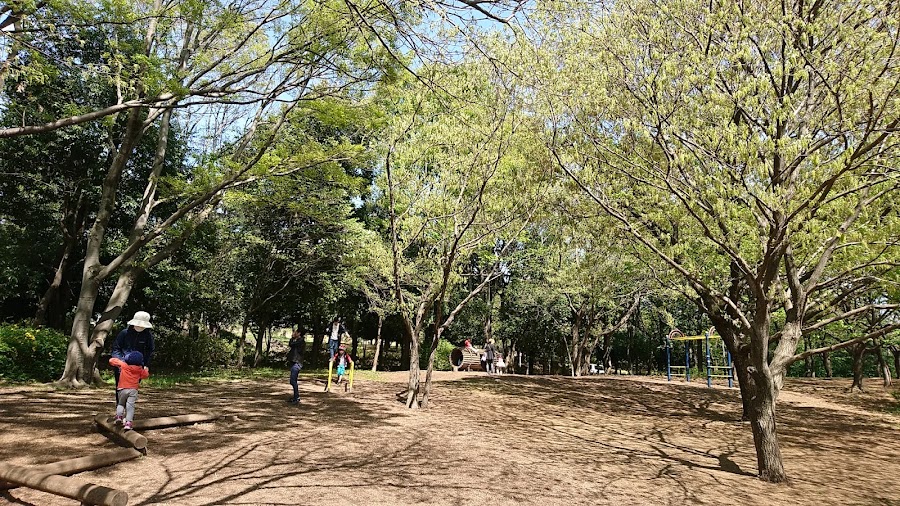 大泉中央公園の写真