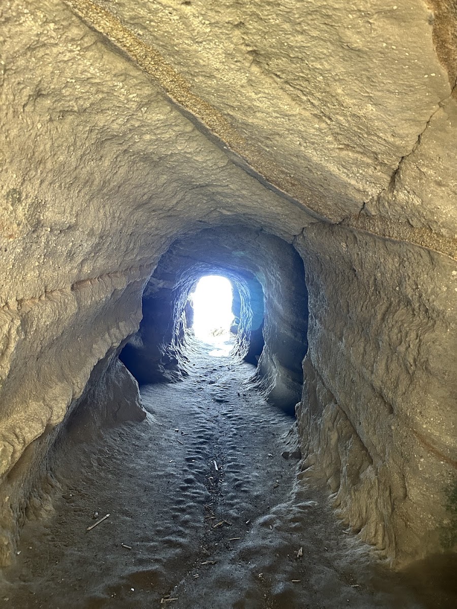 沖ノ島公園の写真