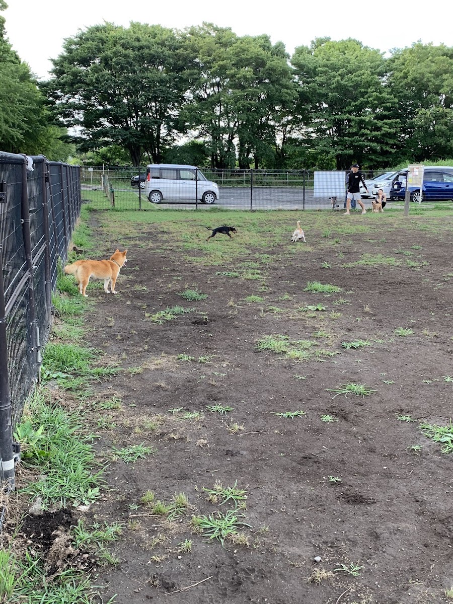 大間木ドッグラン（大間木公園）の写真