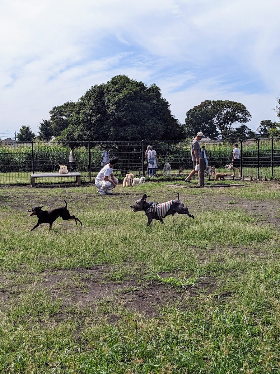 大間木ドッグラン（大間木公園）の写真