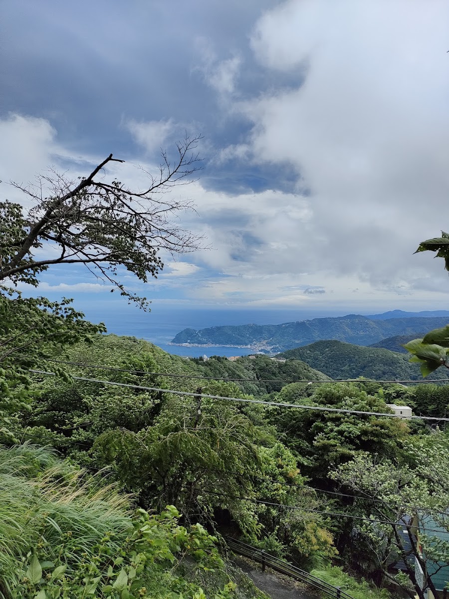 エンゼルフォレスト熱海自然郷の写真