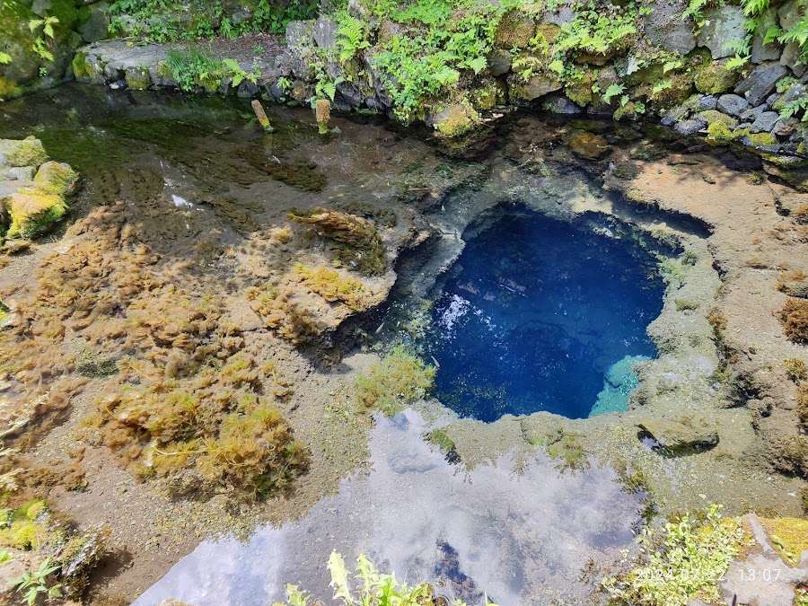 忍野八海 中池の写真