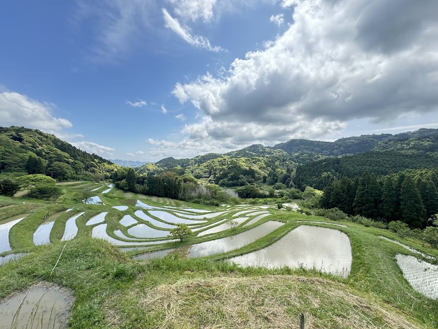 大山千枚田の写真