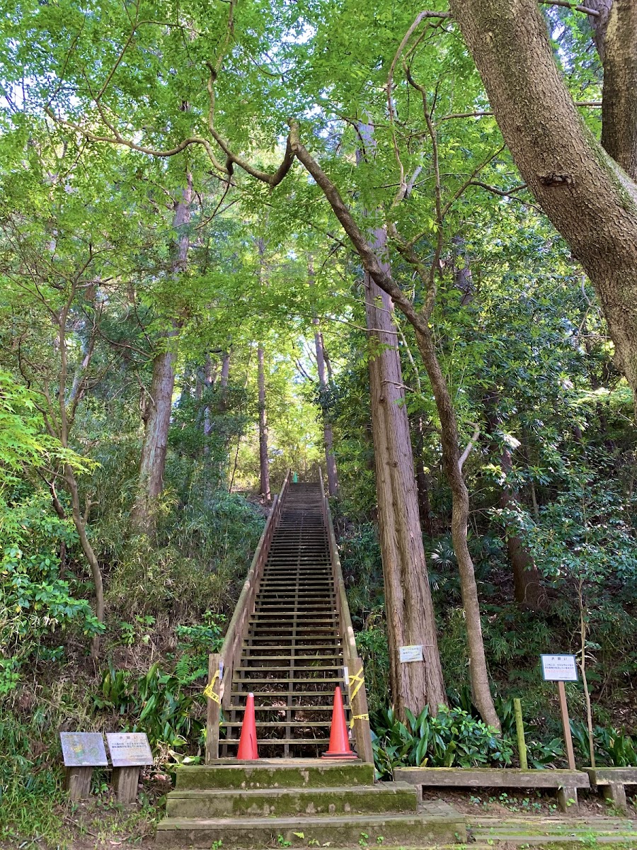 王禅寺ふるさと公園の写真