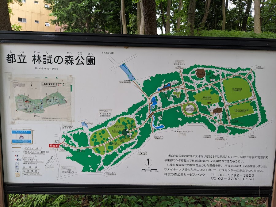 林試の森公園の写真