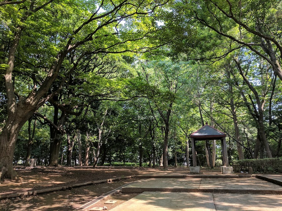 林試の森公園の写真