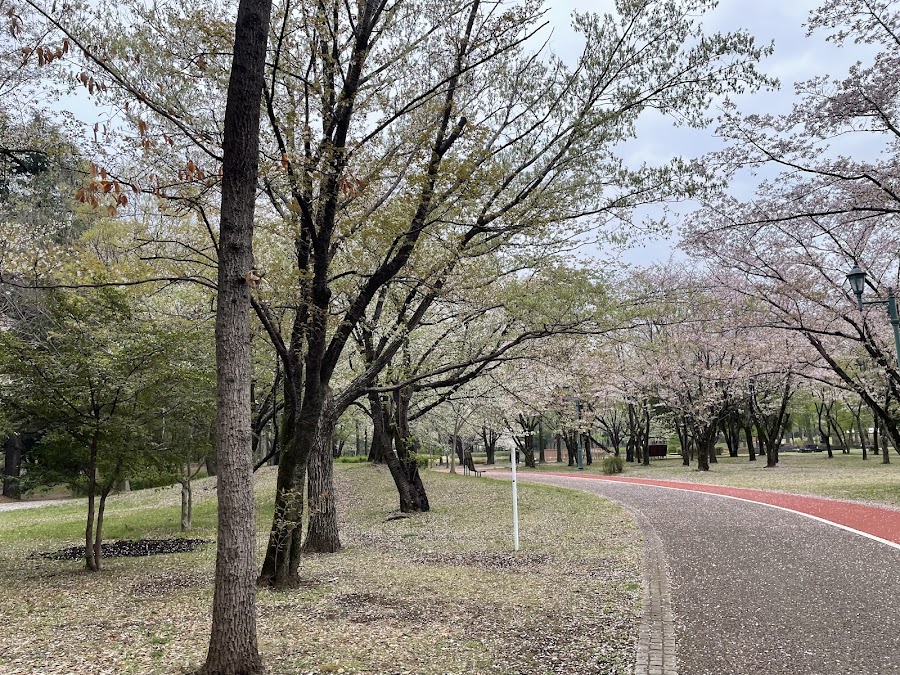 彩の森入間公園の写真