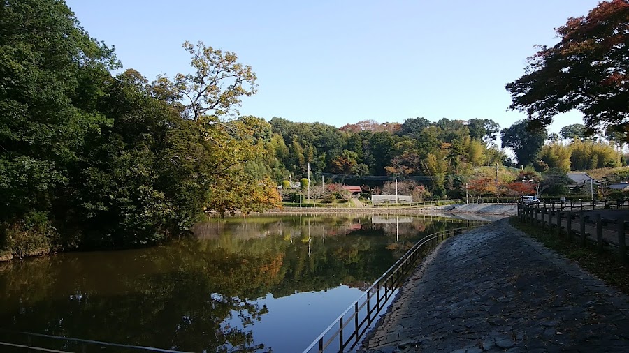 坂田ヶ池総合公園の写真