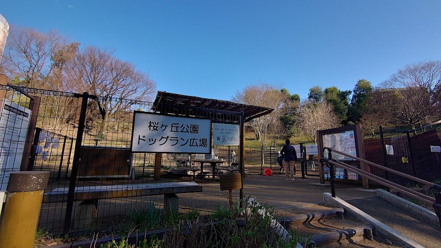 桜ヶ丘公園 ドッグランの写真