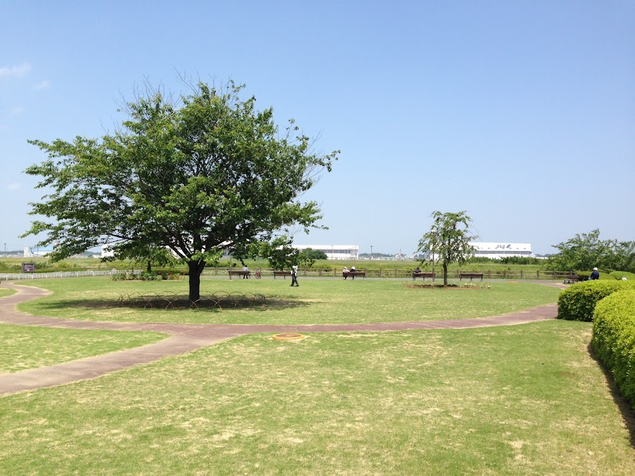 三里塚さくらの丘の写真