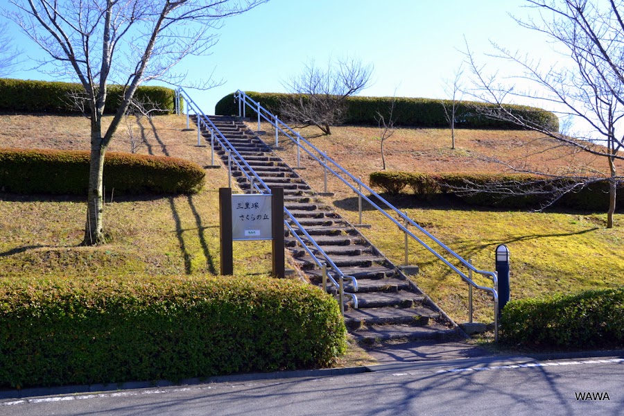 三里塚さくらの丘の写真