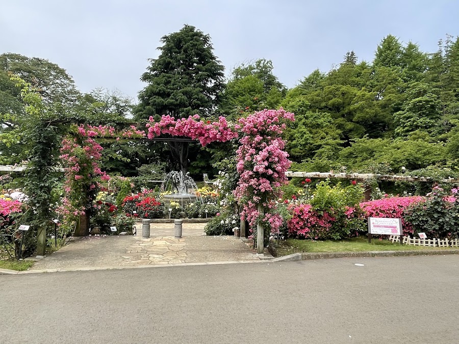 里見公園の写真
