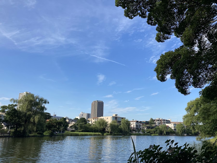 石神井公園の写真