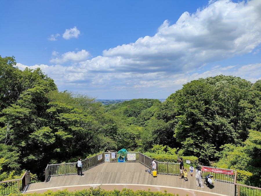 四季の森公園の写真