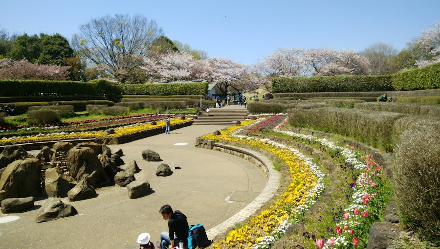 四季の森公園の写真