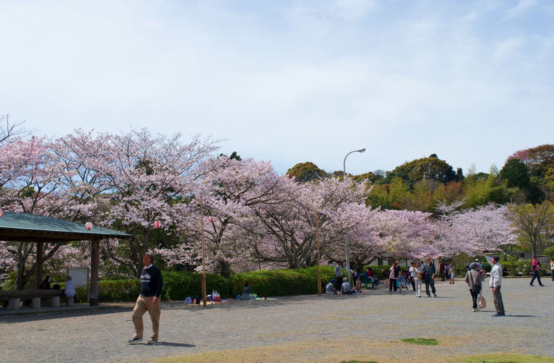 清水船越堤公園の写真
