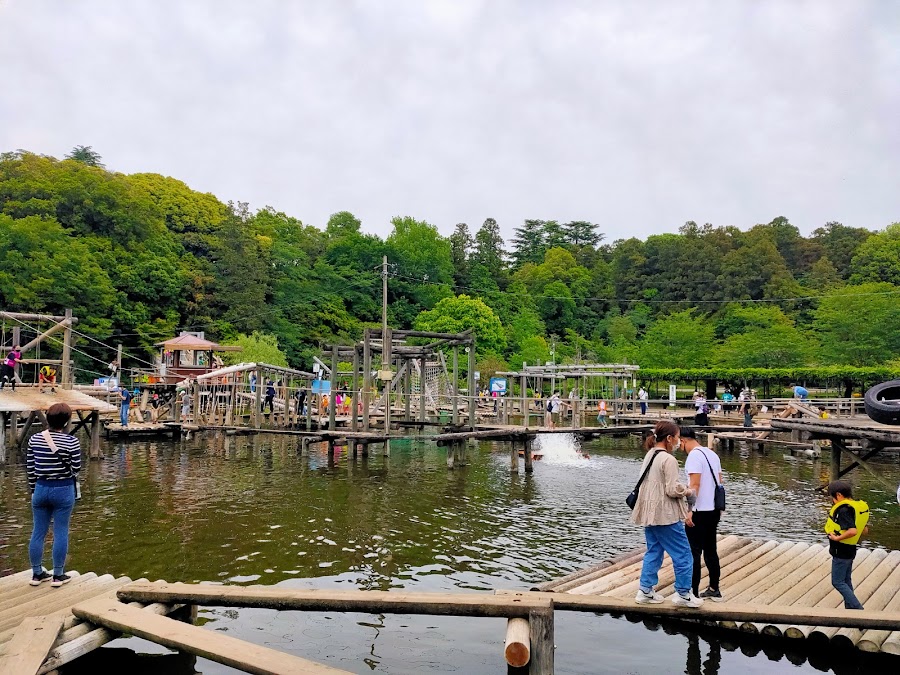 清水公園の写真